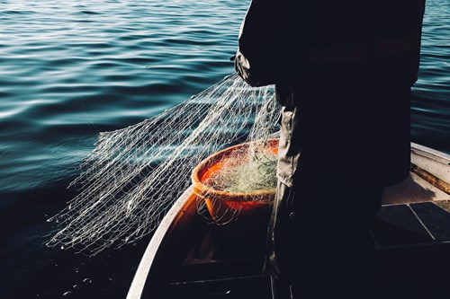 Person on boat with fishing net