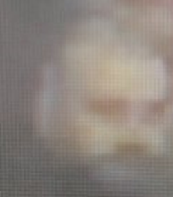 CCTV image of man as described in text