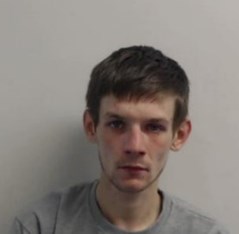 29-year-old white man with brown hair, wearing a grey top