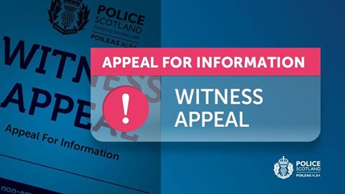 Witness appeal