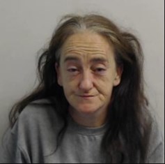 49-year-old white woman with long brown and grey hair. Wearing a grey top