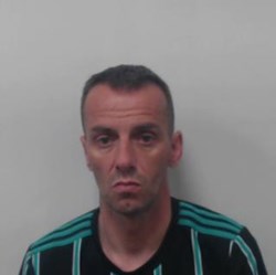 White man with short dark hair looking at the camera wearing black and green top