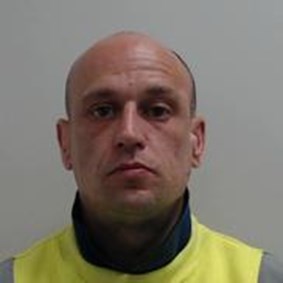 Image of Steven Mitchell