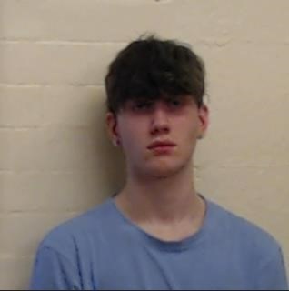Young man with mid-length dark hair which comes over his eyes wearing a mid-blue t-shirt standing in front of a cream breeze-bloc wall.