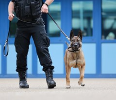 PD Amber on public order duties