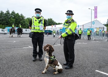 Two officers and a police dog with police horses in background